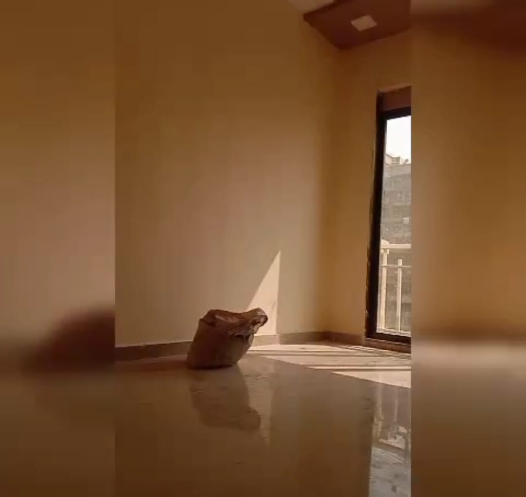 3ecfa0b9-cf08-4fde-816c-7a29f42f0fcb