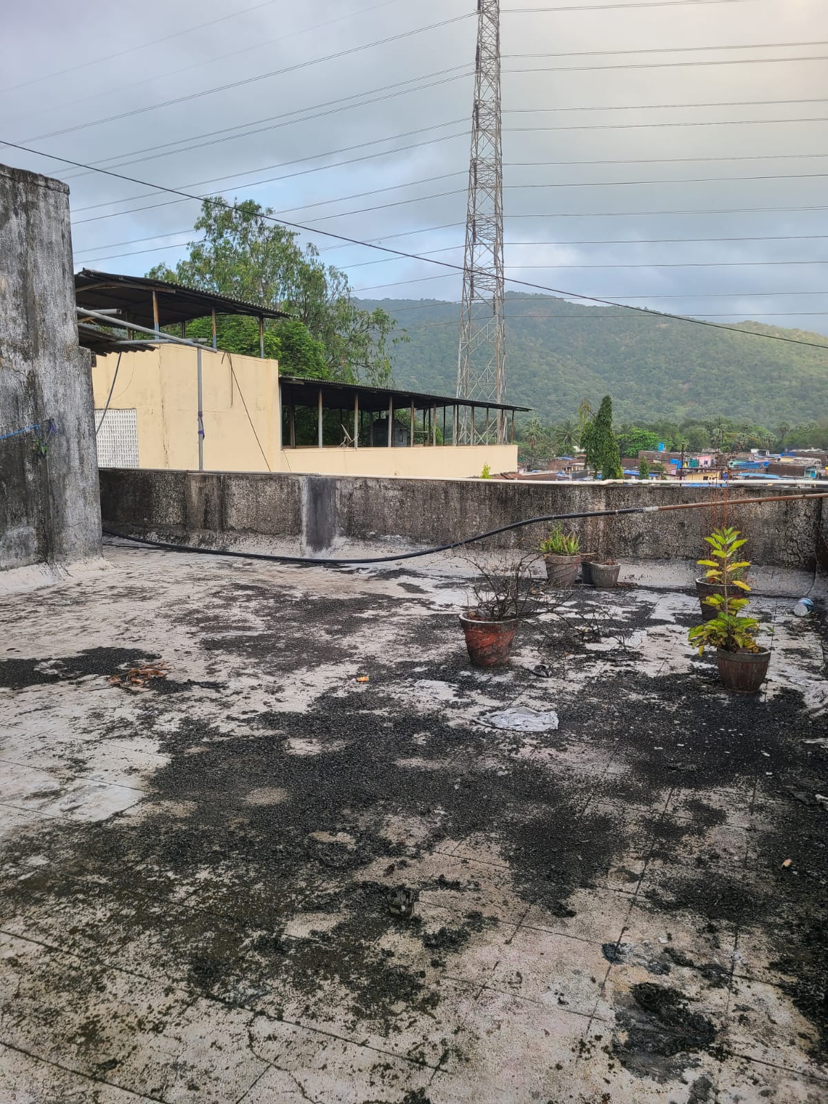 6f8696bb-962b-4c47-8c0a-f1bb1e2c8b21