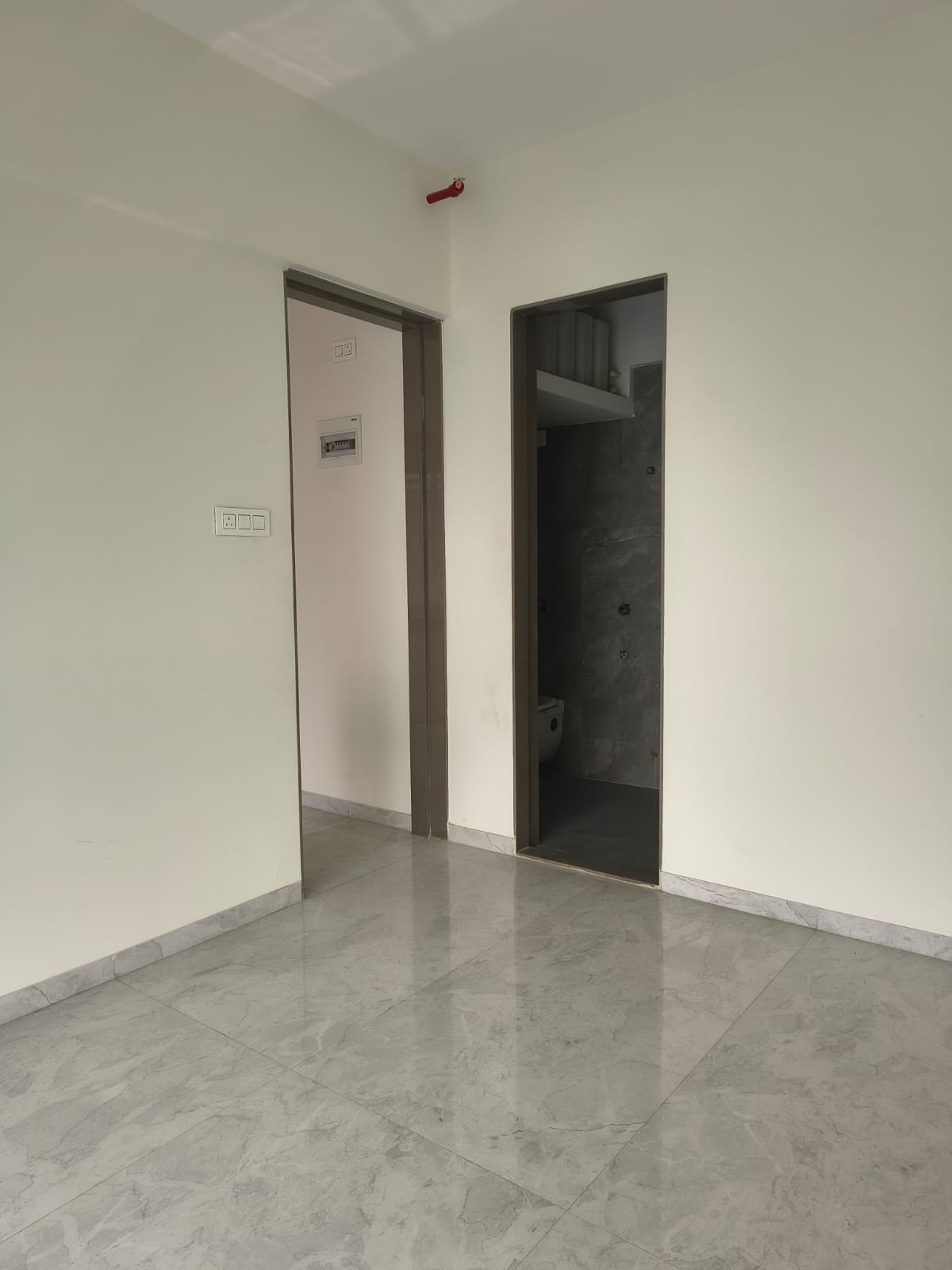 WhatsApp Image 2026-02-05 at 12.17.33 PM (1)