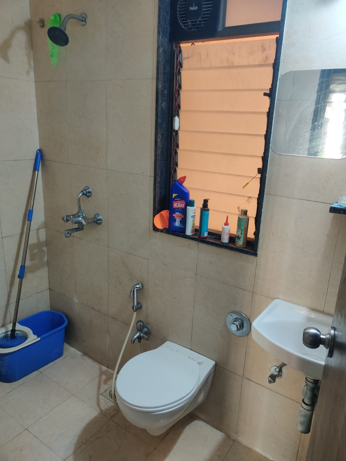 WhatsApp Image 2026-02-10 at 1.25.17 PM