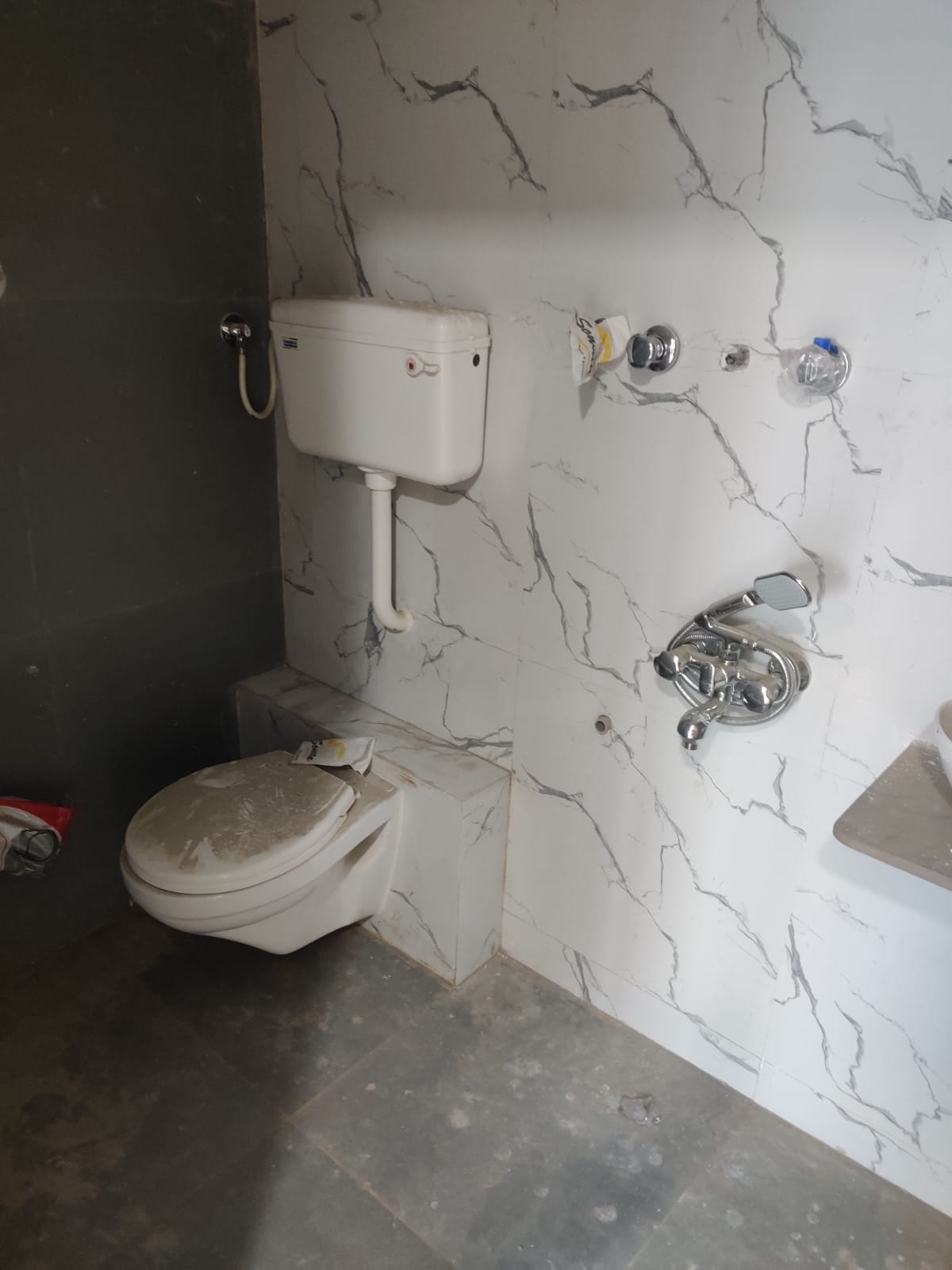 WhatsApp Image 2026-02-13 at 4.29.43 PM